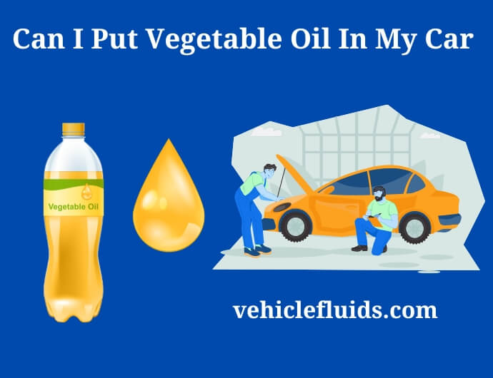 can i put vegetable oil in my car