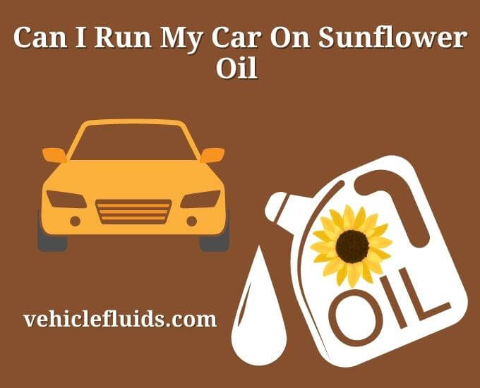 can i run my car on sunflower oil