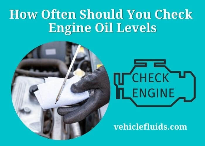 how often should you check engine oil levels (1)