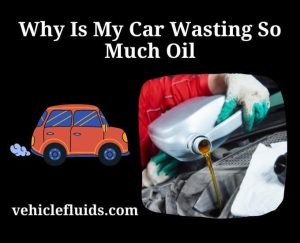 Why Is My Car Wasting So Much Oil? - Vehicle Fluids