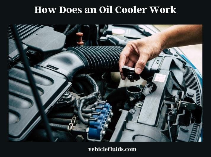 how does an oil cooler work